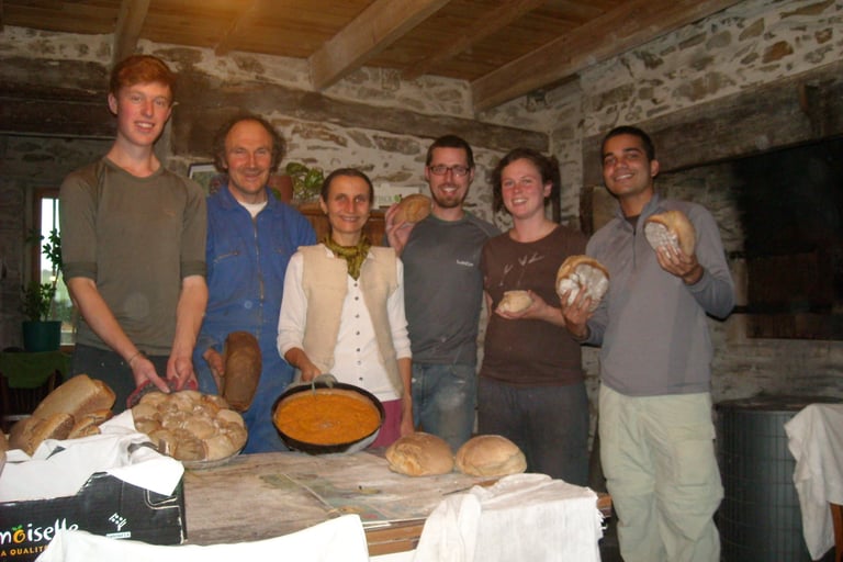 Volunteering on an Organic farm in Bretagne, France