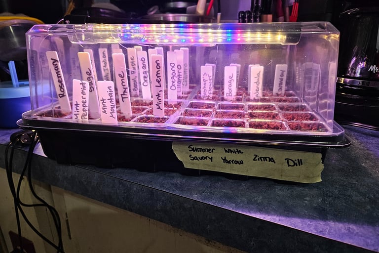 My seed starter! 36 varieties of herbs started.