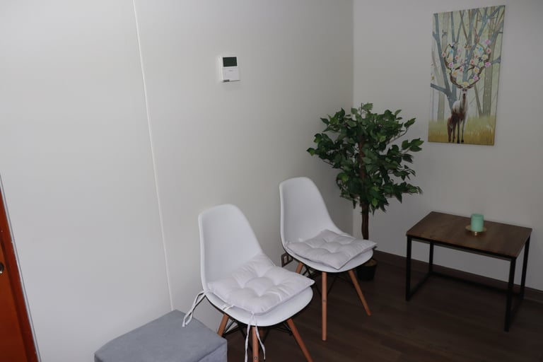 Espacio profesional cómodo y privado en Temuco