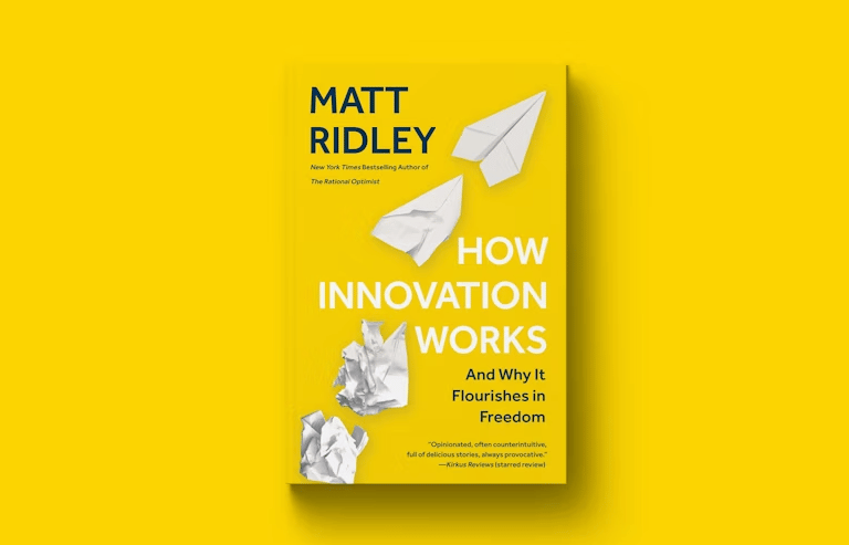 Large container port with gantry cranes and cargo ships, representing the import of automotive filters to the U.S