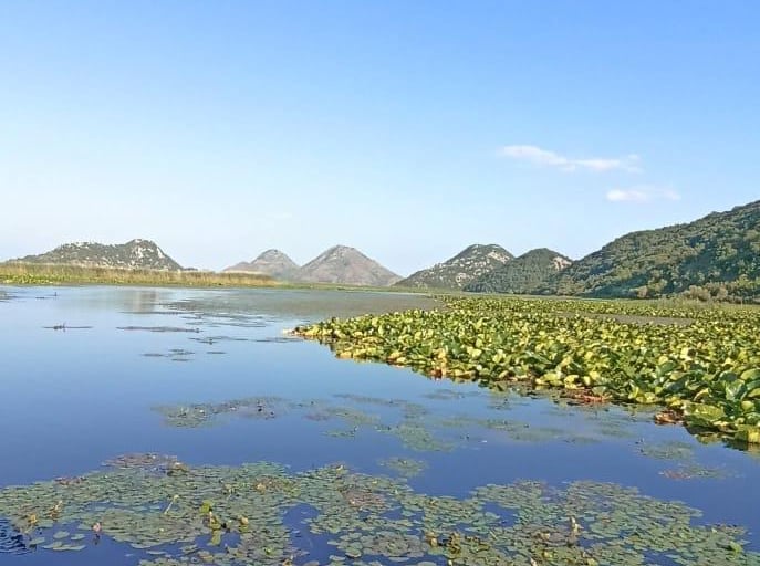 Panoramic viewpoint over Skadar Lake in Montenegro