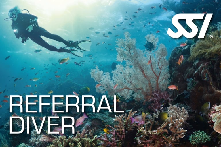Taucher über einem Riff mit SSI Logo