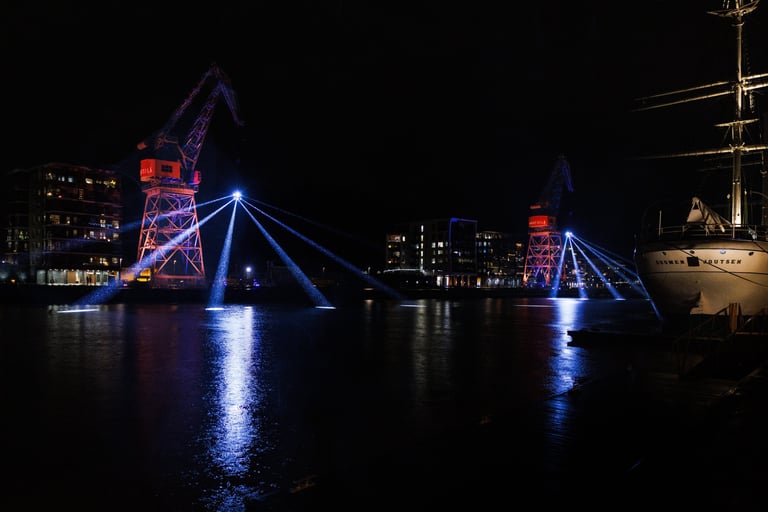 Valonpolku: Sifting Cranes 12.07.2025