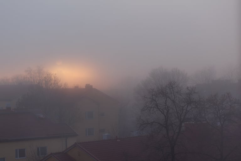 Auringonnousu aamu-usvassa 06.02.2025