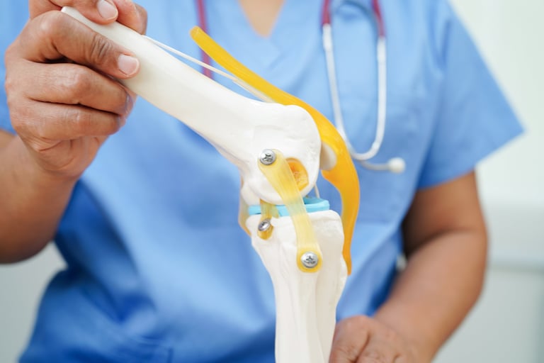 Articulación rodilla