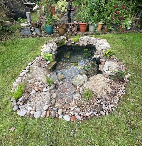 garden wildlife pond build