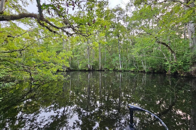 A beautiful waterscape, Ocklawaha River, Florida
