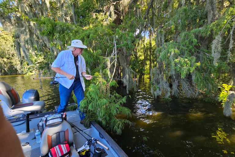 Nice Catch, Larry caught a tree