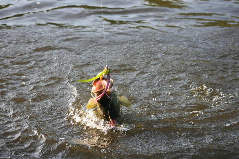 2nd photo of a Bass striking a fire n ice worm