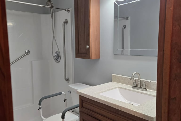 aging-in-place-bathroom-remodel-pinckney-mi.jpg
