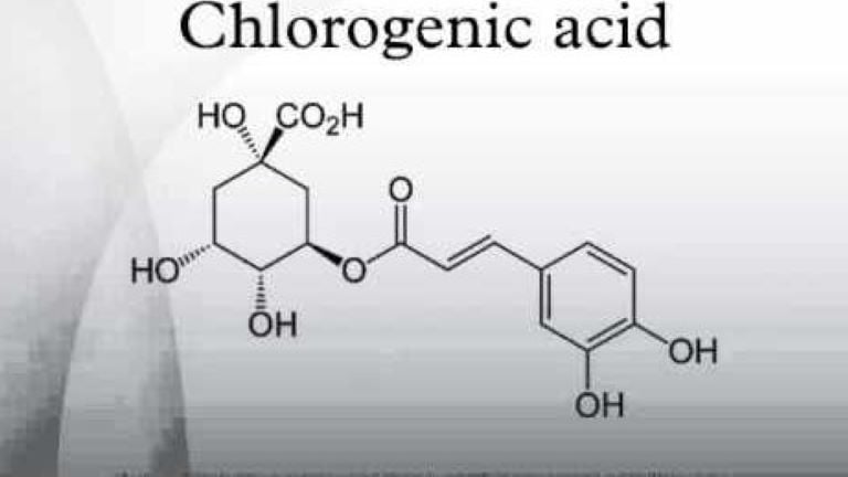 axit chlorogenic CGA