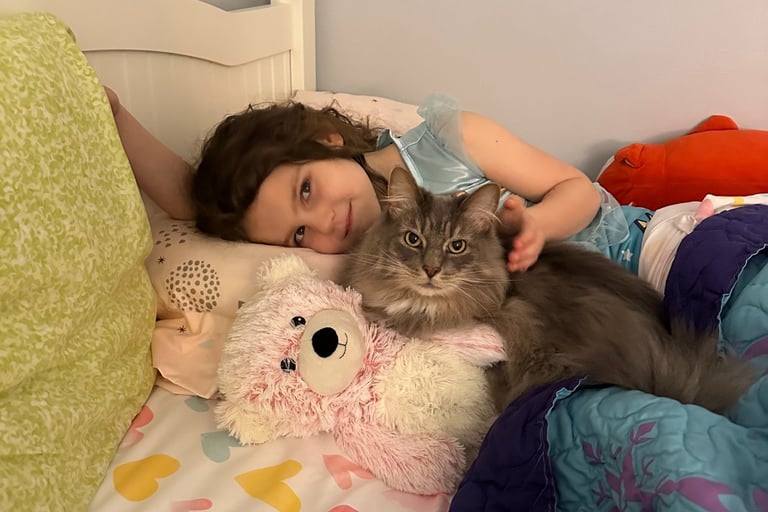 six-year-old-big-emotions-parenting