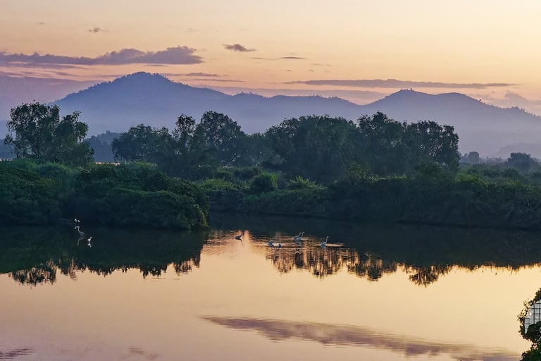Still Waters