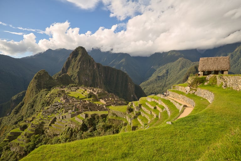 Sacred Valley & Machu Picchu Birding Adventure 3D/2N