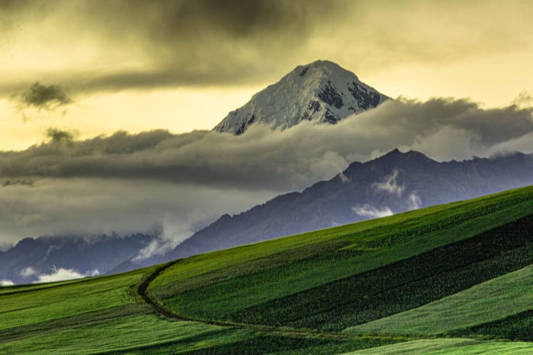 Sacred Valley & Machu Picchu Birding Adventure 3D/2N