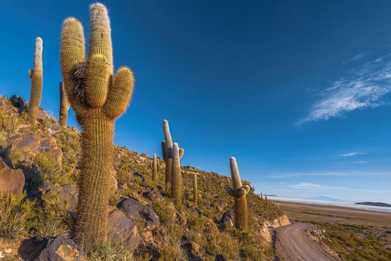 Atacama Desert & Uyuni Salt Flats Photography Tour 11 Days 