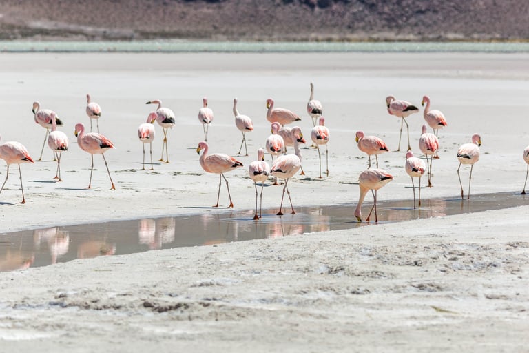 Uyuni Astro & Landscape Photography Tour 6 Day Photo Workshop