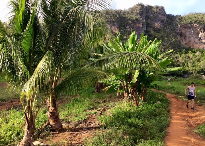Vinales