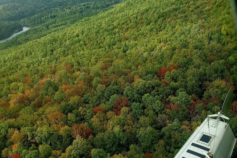hydravion mauricie