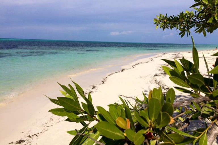 Cayo Levisa