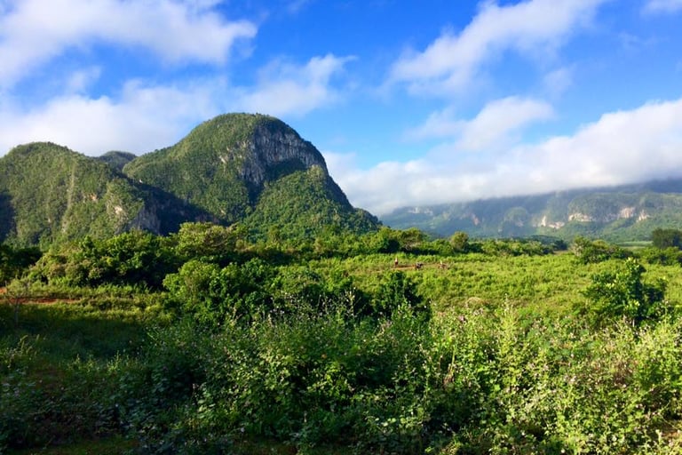 Vinales Mogotes