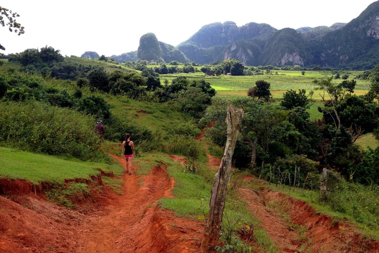 Vinales Mogotes