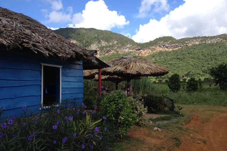 vinales