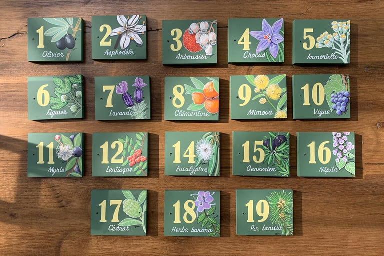 plaque de porte sur mesure pour hôtellerie plantes corse