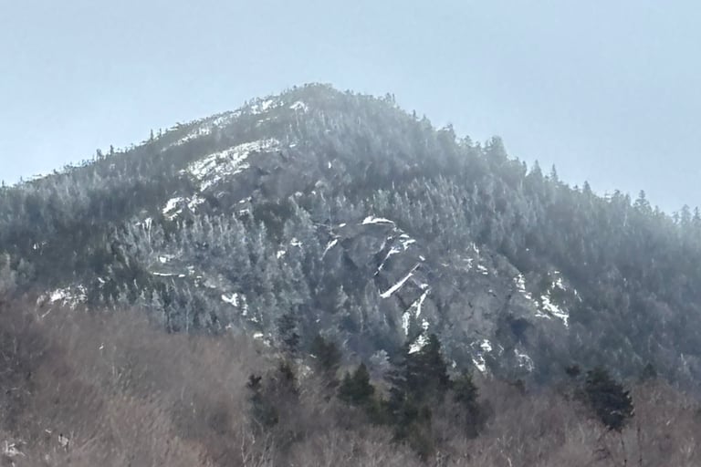 A mountain with snow still visible, and a grey-blue sky.