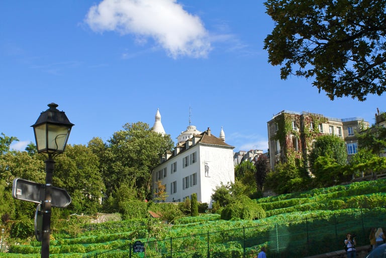 Montmartre Free Tour