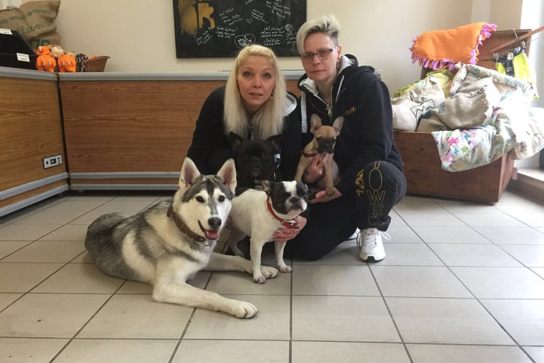 zwei Frauen und vier Hunden
