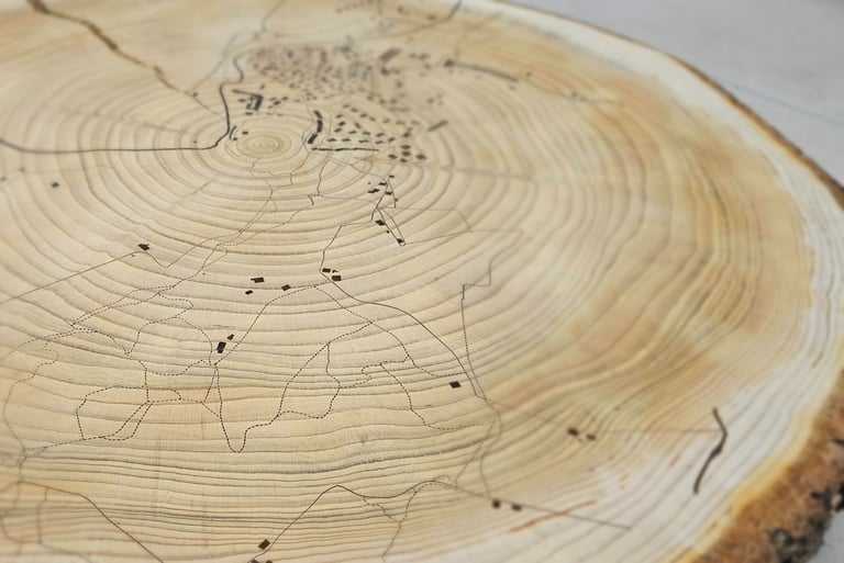 a wooden slice of wood with a drawing of a tree stump