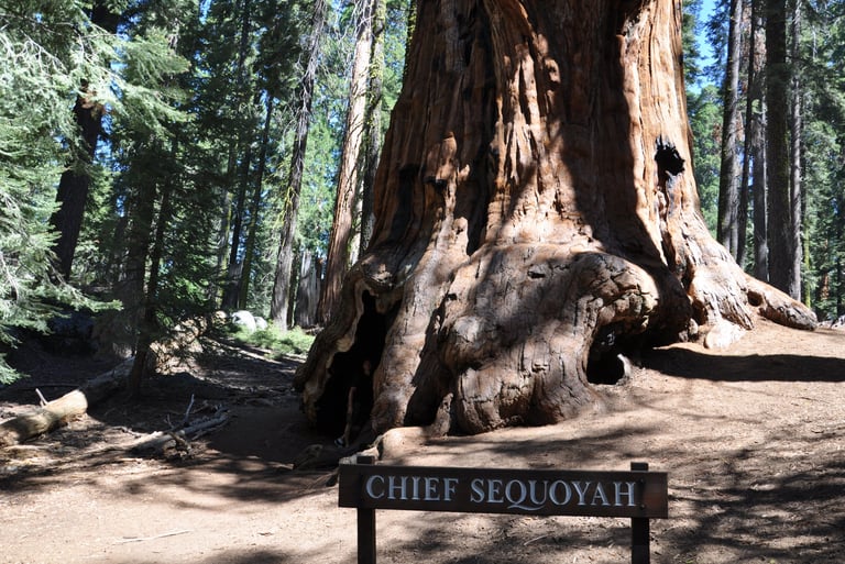a sign that says chief sequoyah