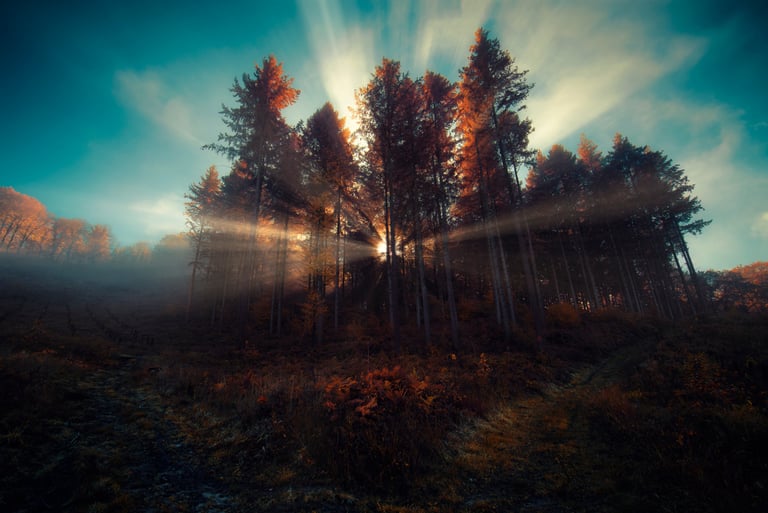 Landscape photographié par David Keochkerian