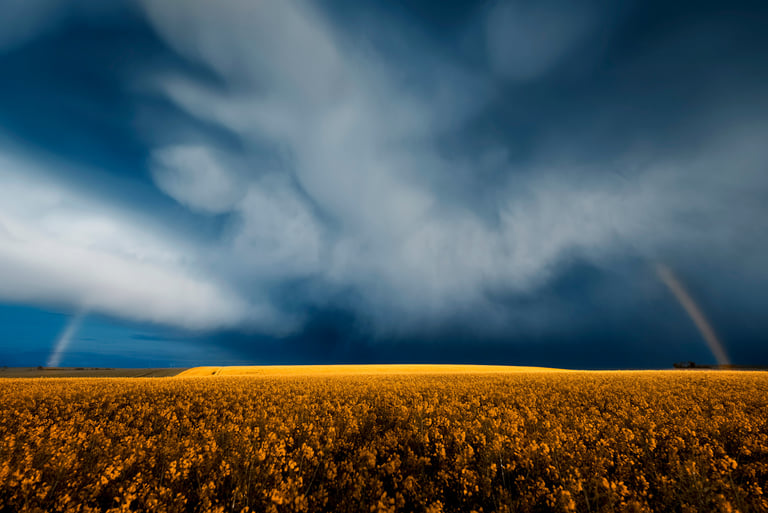 Landscape photographié par David Keochkerian