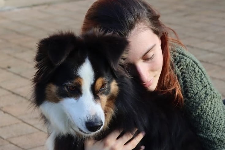 Chien