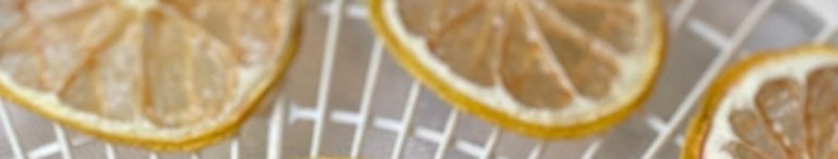 dehydrated lemons on drying tray in front of potted plants