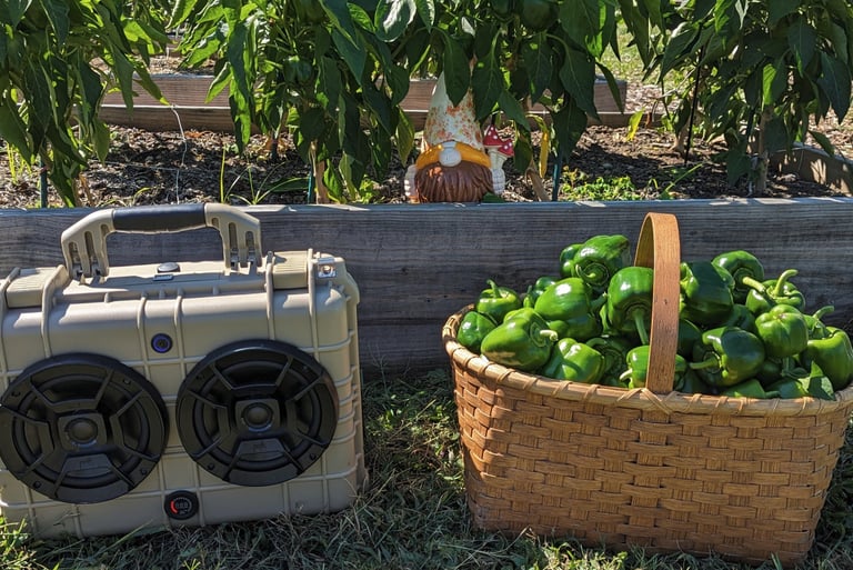 chillantix advernture boombox at the farm with a basket of peppers
