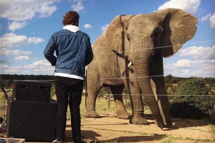 Franco Schoeman with elephant
