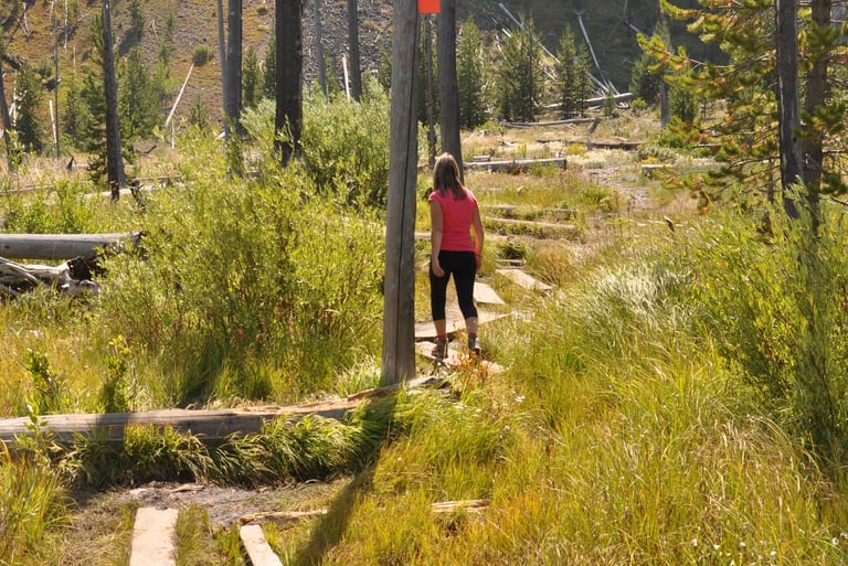 a woman in a red shirt is walking along planks in yellowstone national park