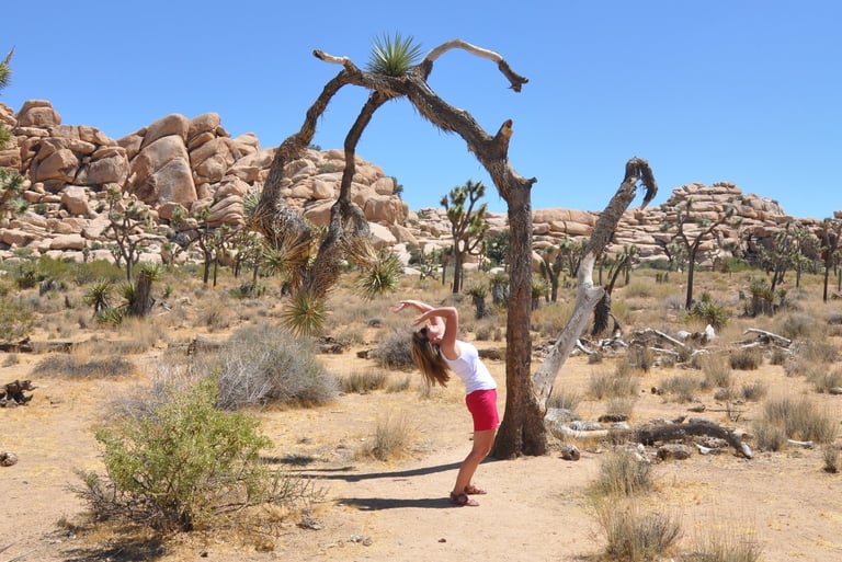 Skull rock trail, Joshua Tree National Park