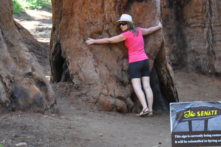 a woman standing in front of a giant tree