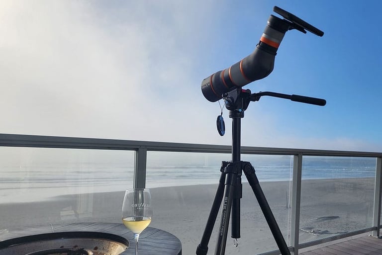 Blog post image link of digiscoping with a spotting scope at the beach