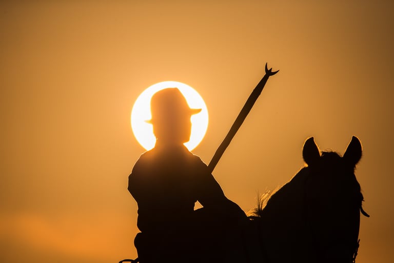 Silhouette of a gardian on horseback with a cattle prod against a glowing orange sunset.