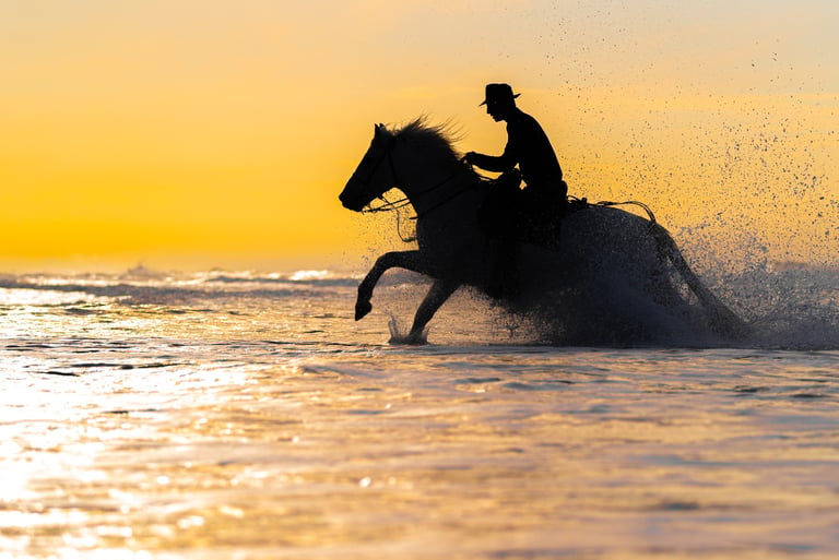 Silhouette of a gardian on a horse galloping through ocean waves at golden hour sunset.