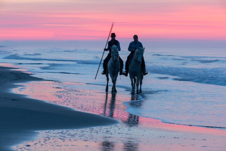 Two gardians riding white Camargue horses along the beach at sunrise under a pink and blue sky.