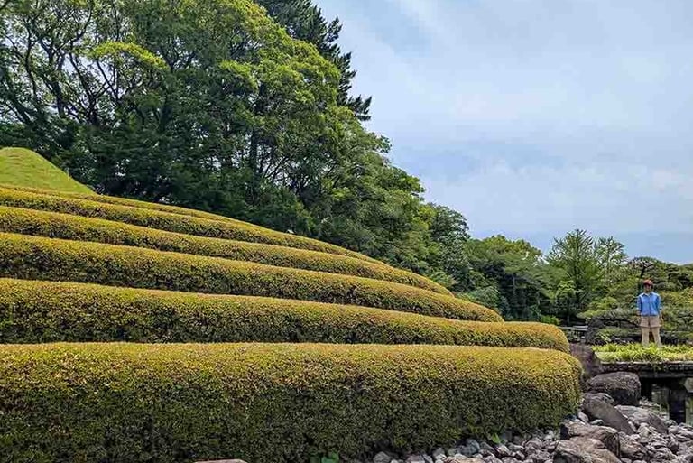 Layered hedges and peaceful Japanese garden in Shizuoka, Japan.