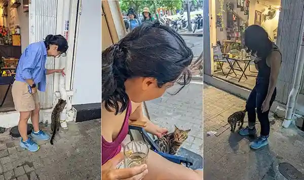 Petting friendly street cats during our travels in Vietnam