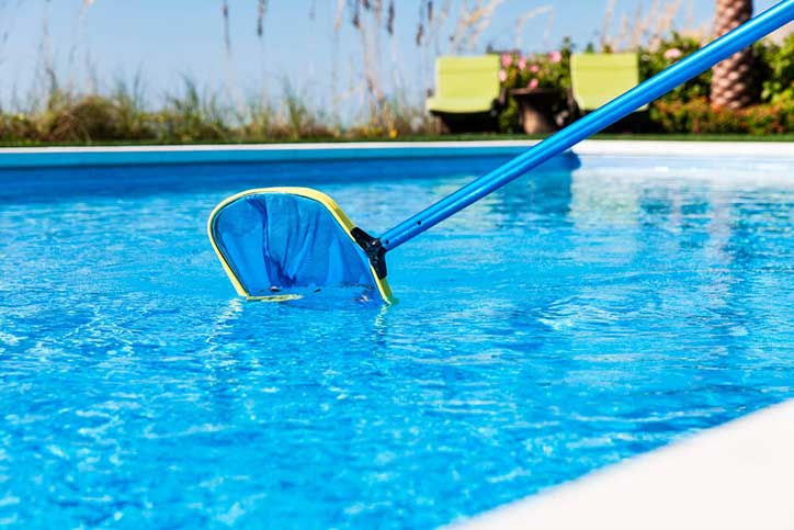 A blue pool skimmer net cleaning debris from a bright blue outdoor swimming pool.