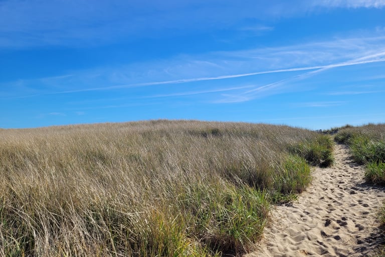 Cape Cod national seashore